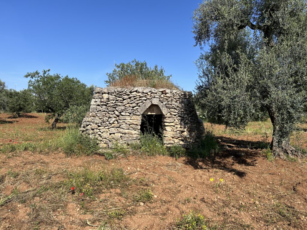 Terreno agricolo con Potenzialità Edificatorie