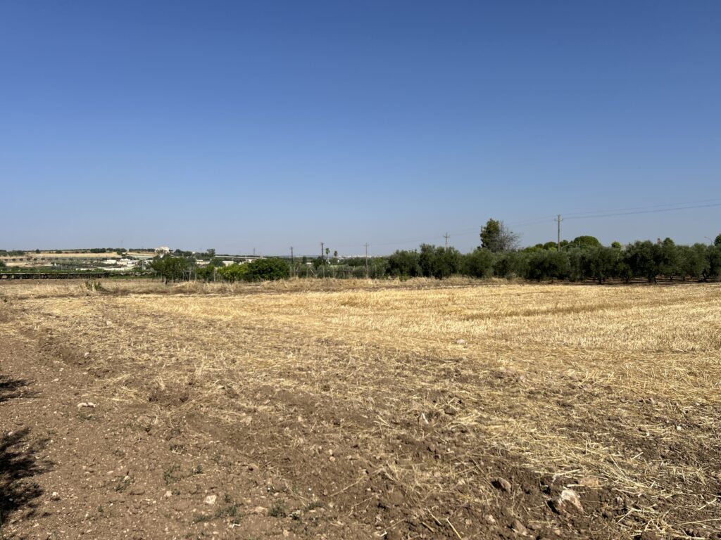 Terreno Agricolo in Vendita a Grottaglie (TA)